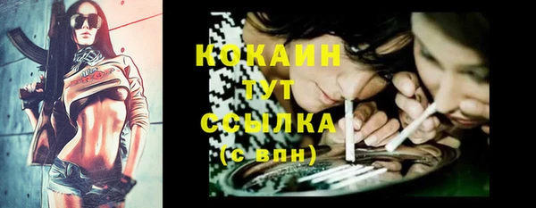 гидра Аркадак