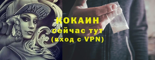 гидра Аркадак