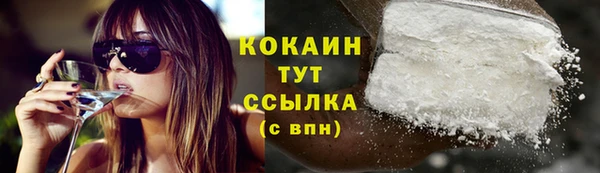 дживик Саяногорск