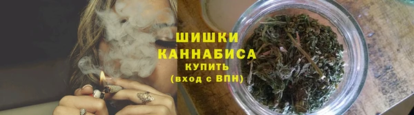 PSILOCYBIN Сатка