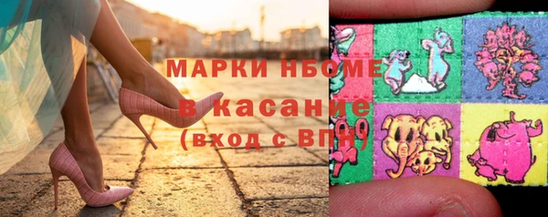 гидра Аркадак