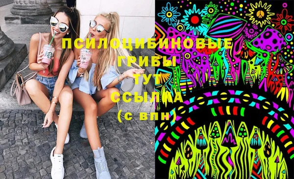 дживик Саяногорск