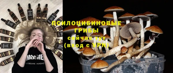 гидра Аркадак